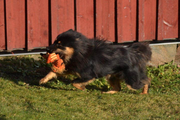 2016-12-26-19-32-41-1