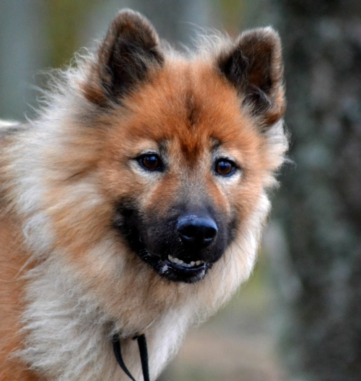 2016-12-28-22-00-54-1