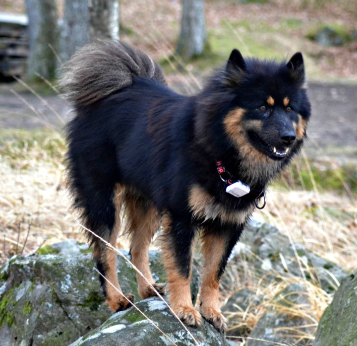 2016-12-28-22-01-12-2