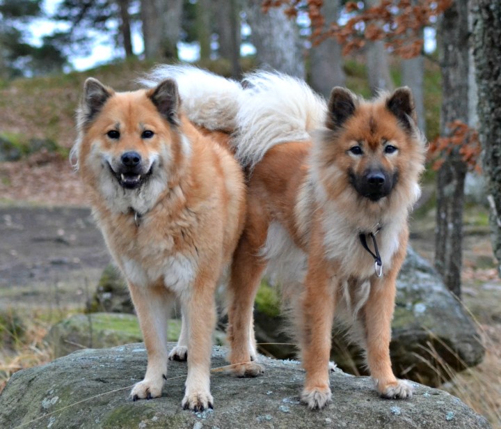 2016-12-28-22-01-18-3