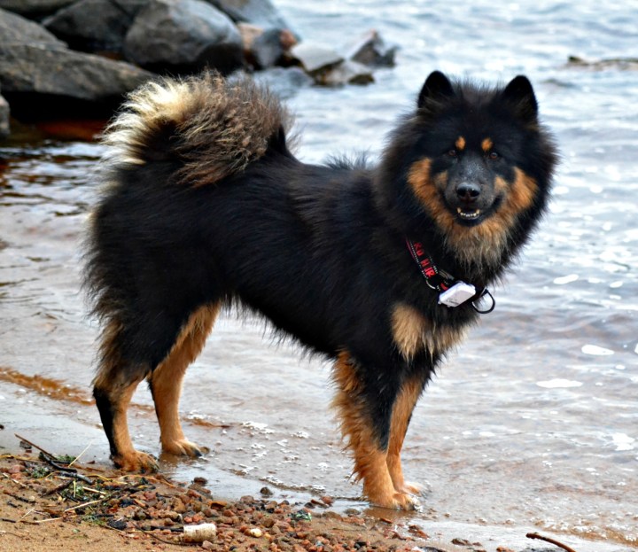 2016-12-28-22-03-07-1