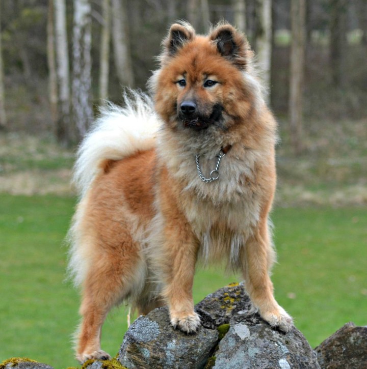 54284_4739328318256_591032361_o