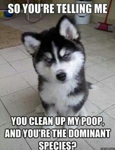 742f7347ce4b289b38be977be4729e2e