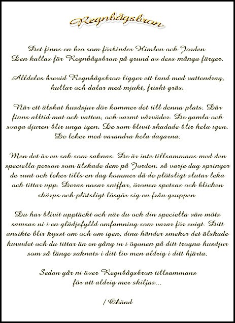 90b43-dikt_regnbagsbron