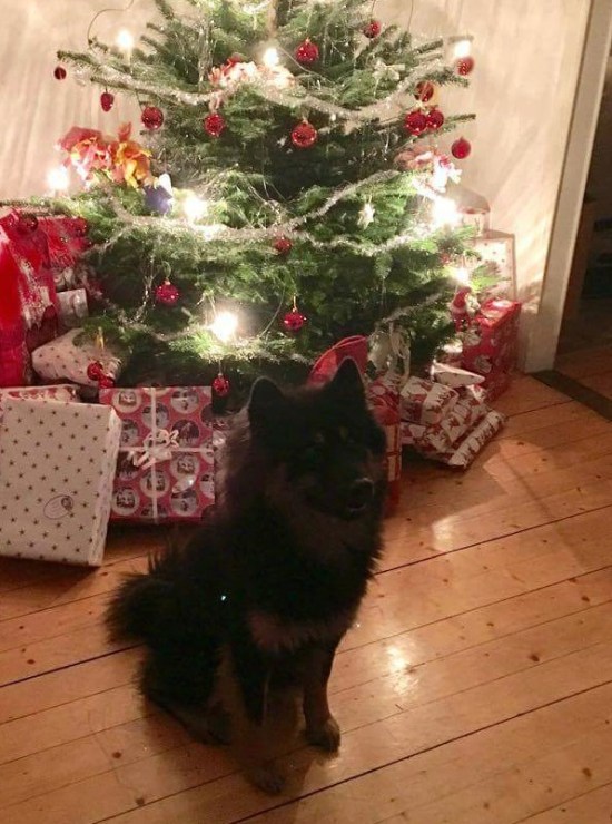 received_10155595937503136-2