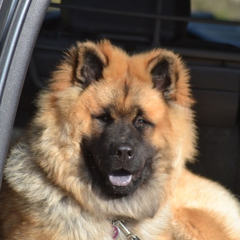 2016-09-15-22-22-38-2