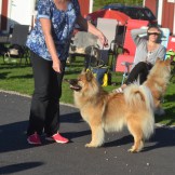 2016-09-16-23-38-58-2