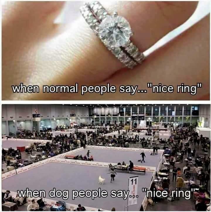 18447423_1732624773419975_3009699270890834573_n