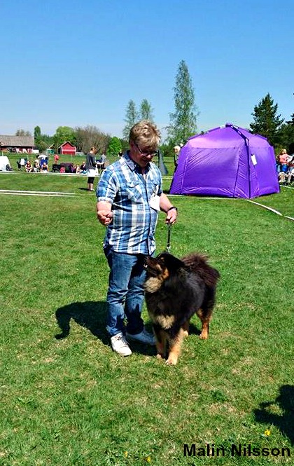 18618389_1937680206257644_982777334_o