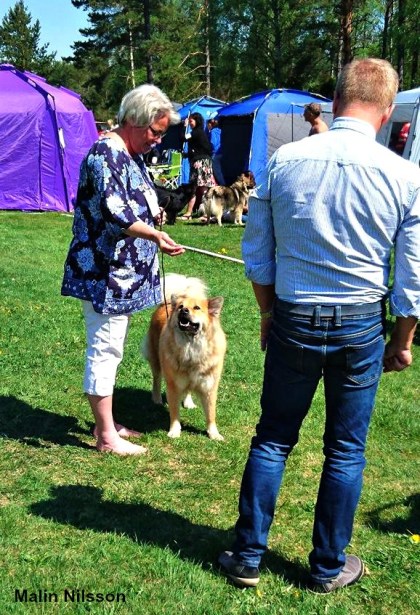 18641347_1937680302924301_827429585_o