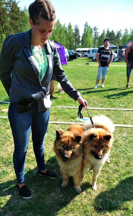 18641444_1937680232924308_1461572473_o