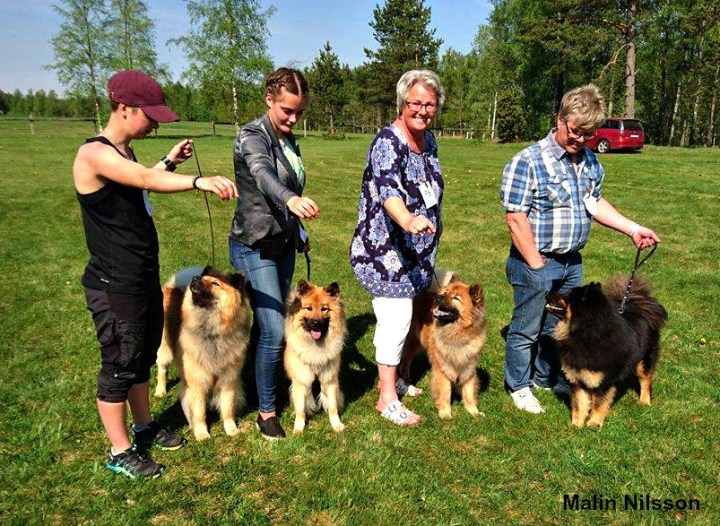 18641802_1937680309590967_1982260570_o