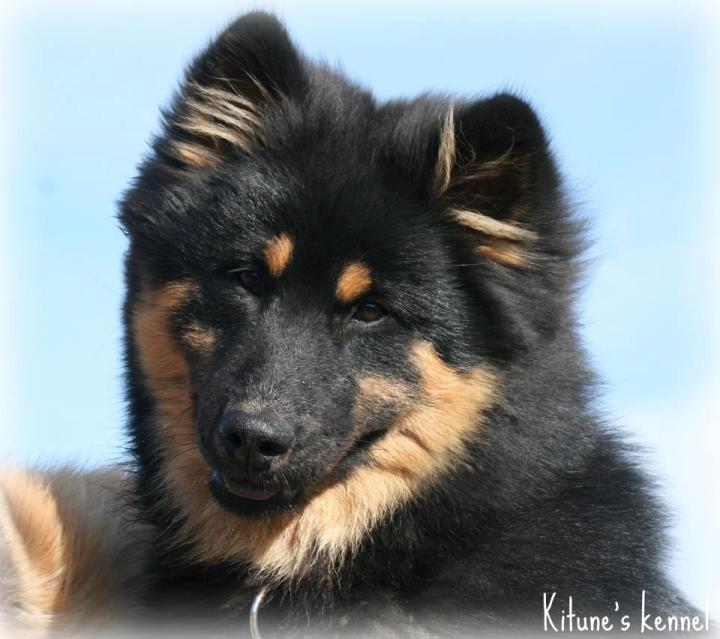 522571_10200691864276112_1802673141_n