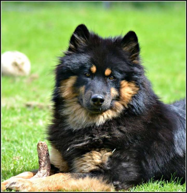 image_3b4l8zWWowbttlFTxUrVep