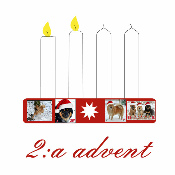 andra-advent1