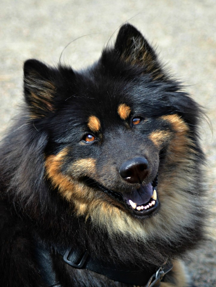 2016-07-07-21-57-01-3