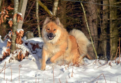 17157739_10211901761356533_2121215623281832510_o