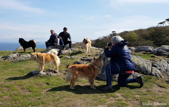 31649321_2480054945353498_2927467245305069568_n (2)