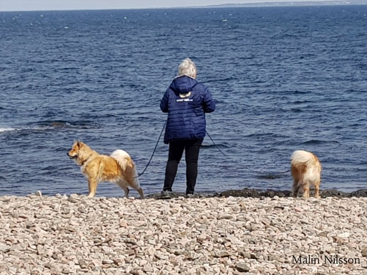 31682282_2480054712020188_4029387031179165696_n (2)