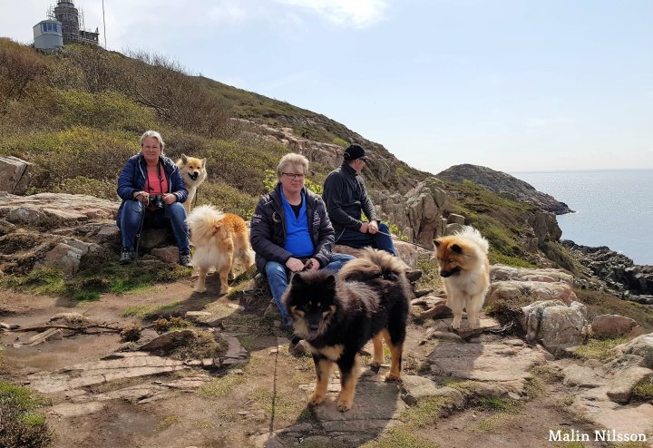 31764705_2480054248686901_4015361798294208512_n (2)