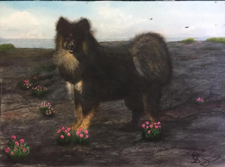 33923759_1410120119092752_5534593289686089728_n