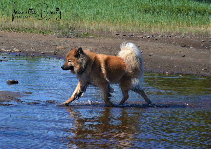 DSC_0069 (2)