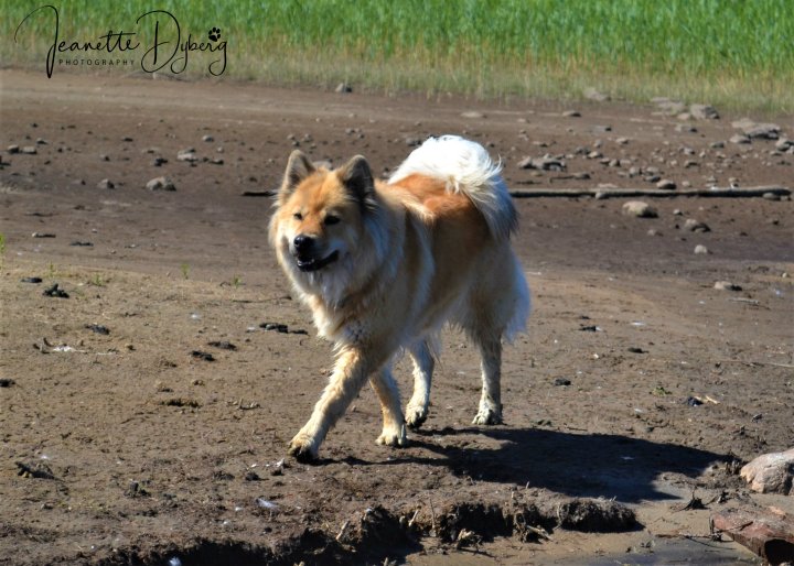 DSC_0071 (2)