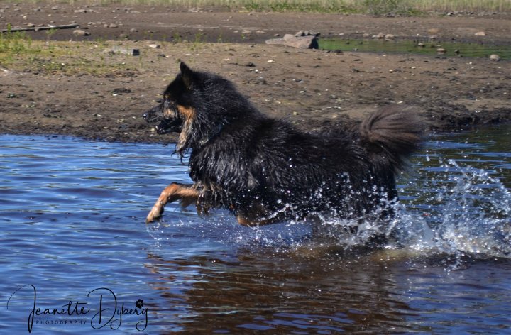 DSC_0084 (2)