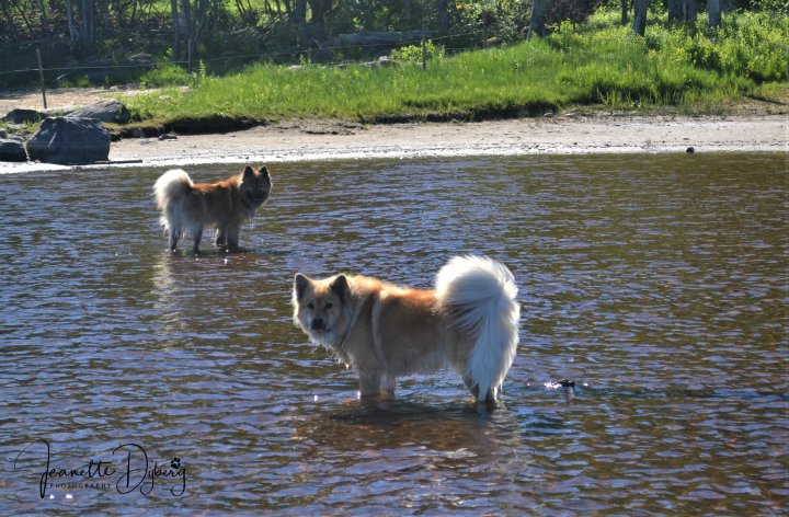 DSC_0093 (2)