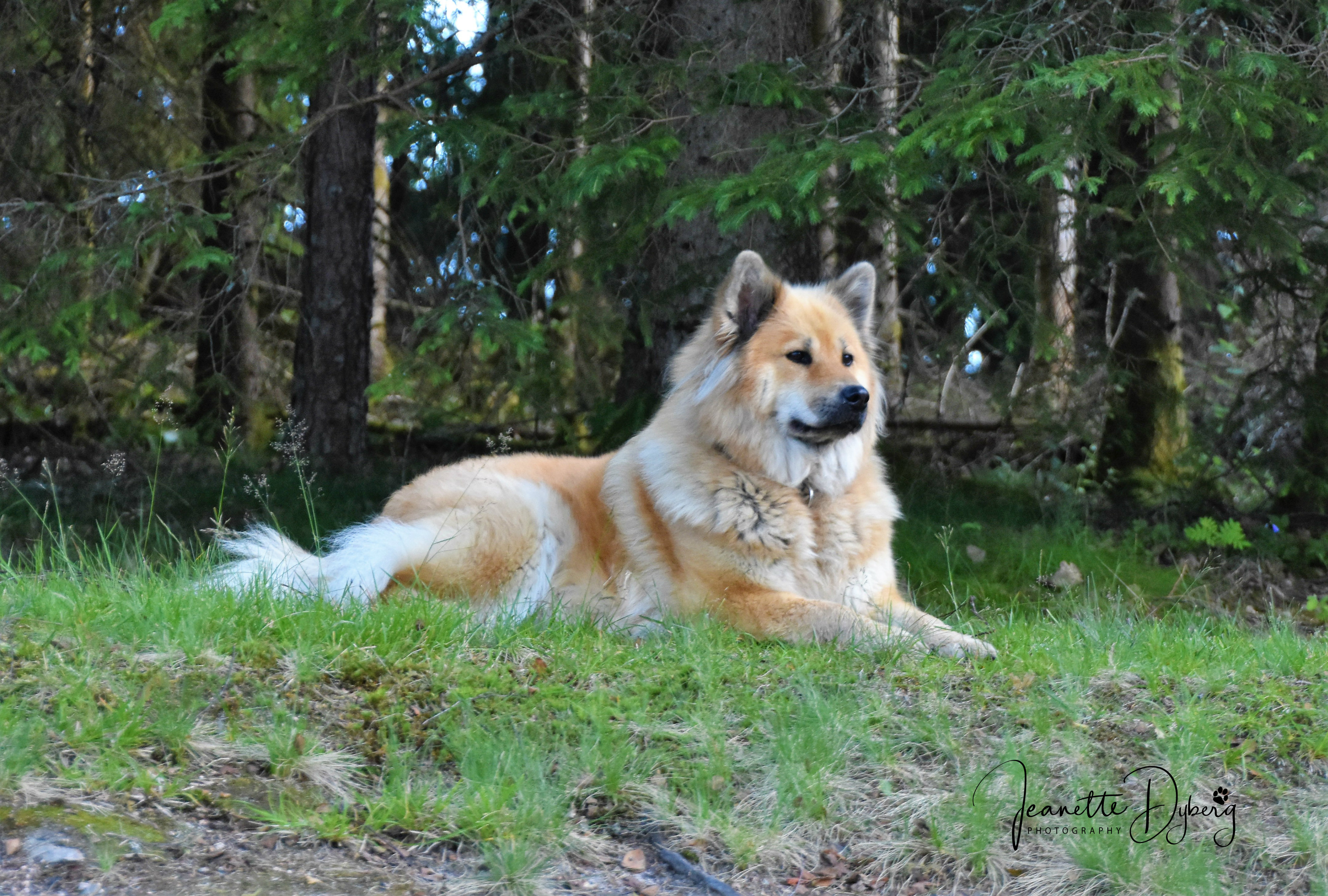 DSC_0734 (2)