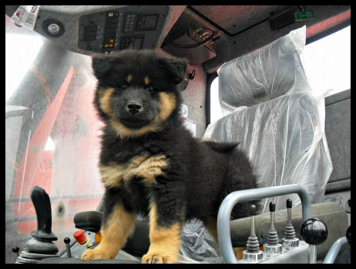 21014000_10213680418861859_2661646526833312215_o