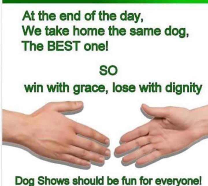 36990036_2224521940896920_66945702487392256_o