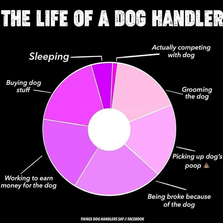 37175382_206910719993325_4530931678255775744_n