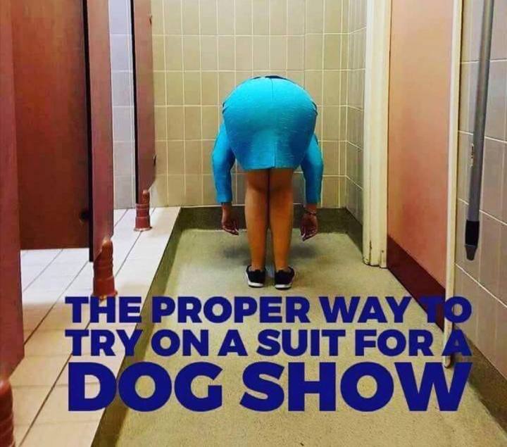 38391986_2264794750202972_9146280041066266624_o