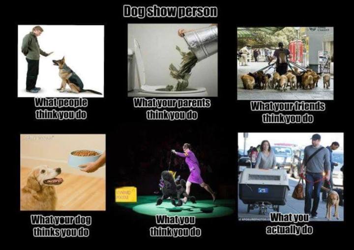 40041090_2304423949573385_1806433360315154432_o