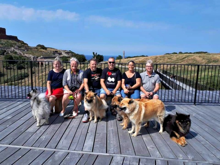 FB_IMG_1534739388802