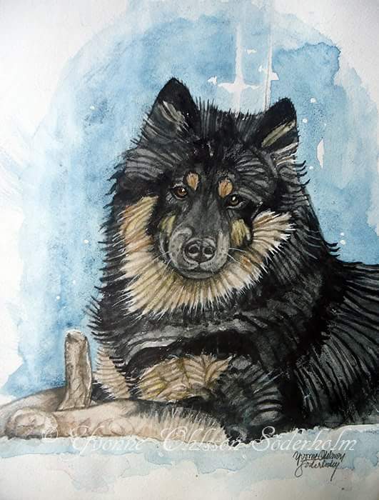 FB_IMG_1535362702995