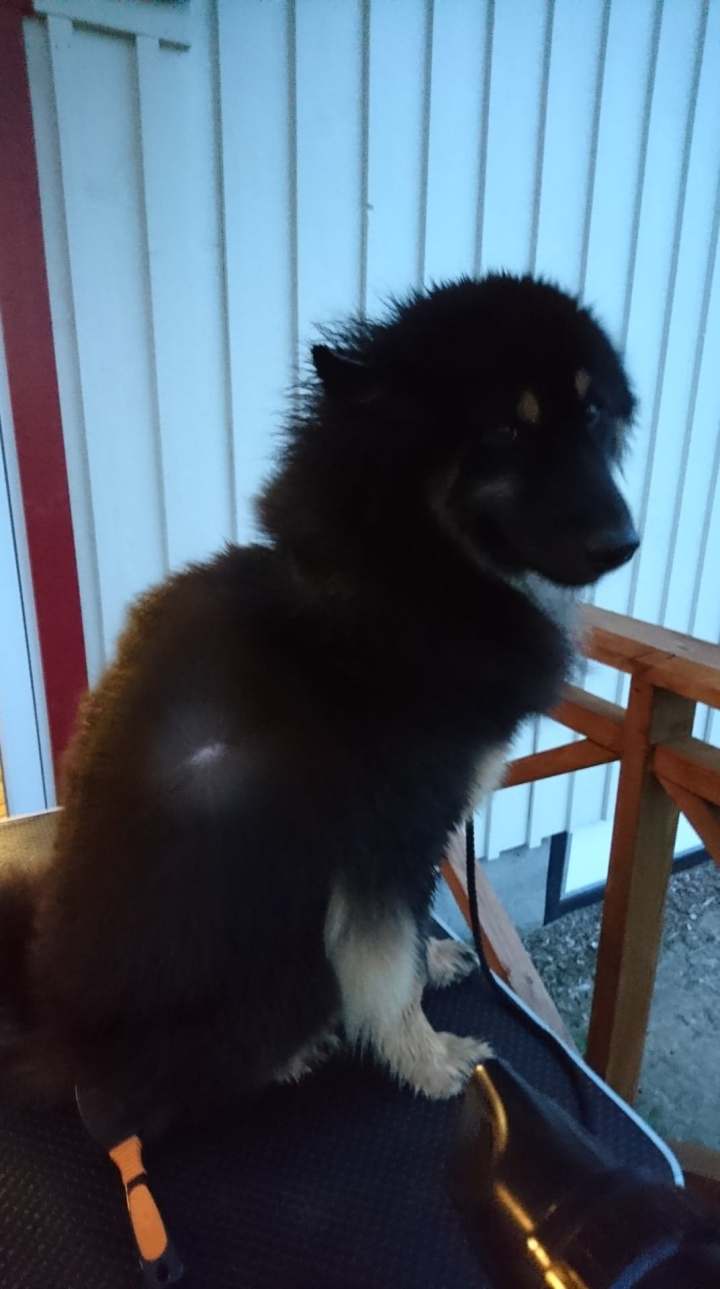 42135591_1053827908127257_7092521654730883072_n