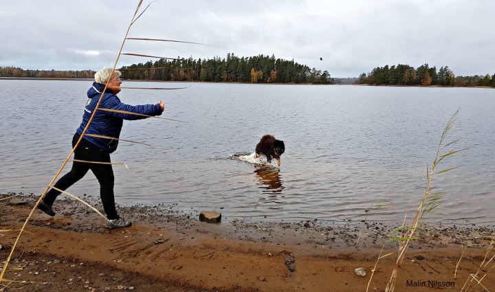 44209181_1937277989660240_3355980895545720832_n