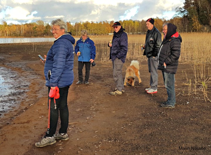 44442295_1191677434318156_2100205880661245952_n