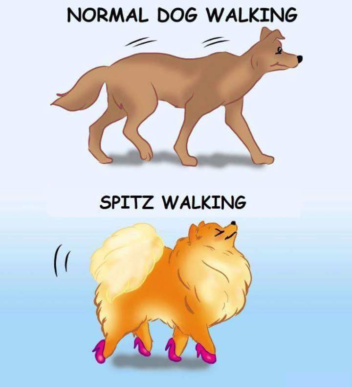 FB_IMG_1535803705243