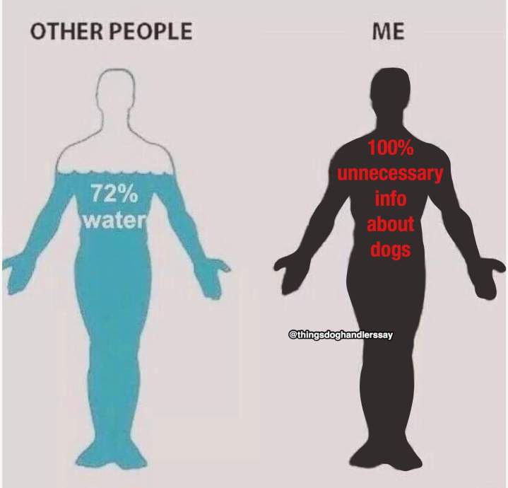 FB_IMG_1537907169188