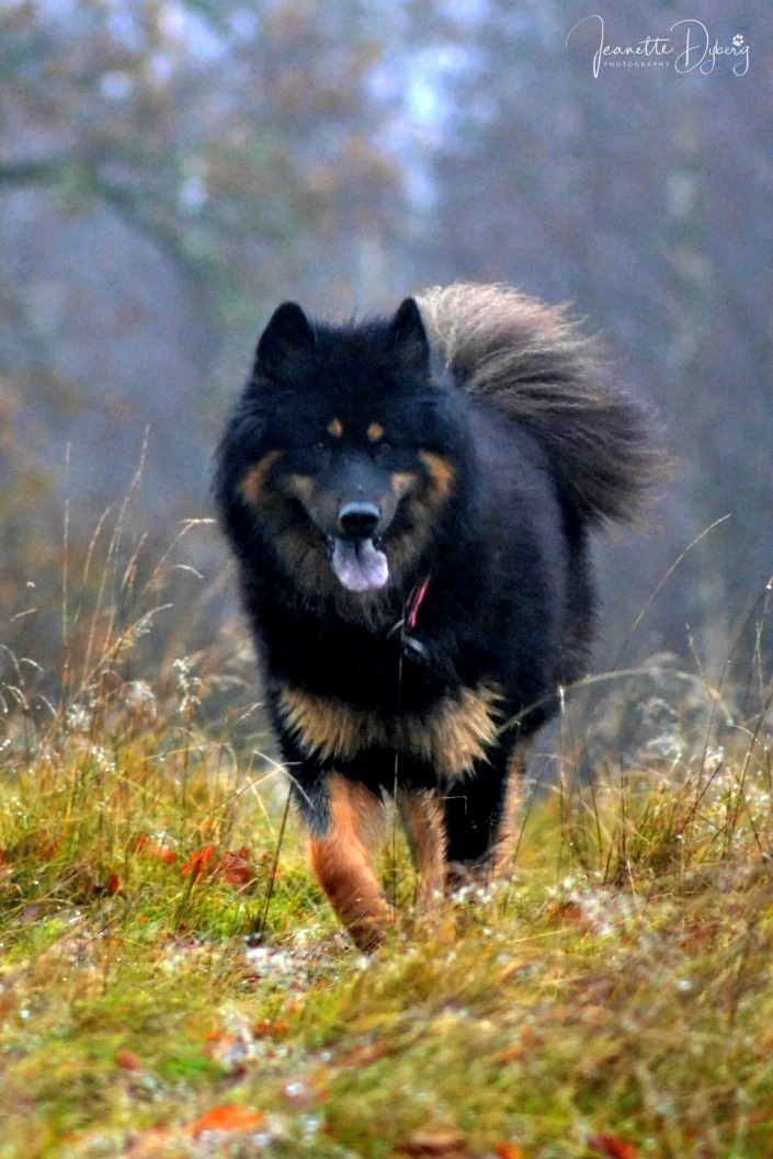 2016-11-14-22-37-37-1