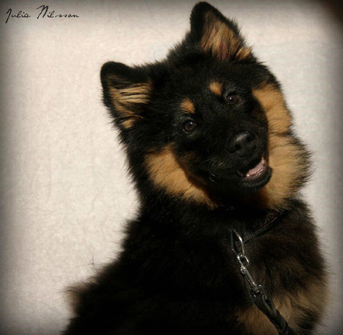 1214_10200158017370273_564287025_n