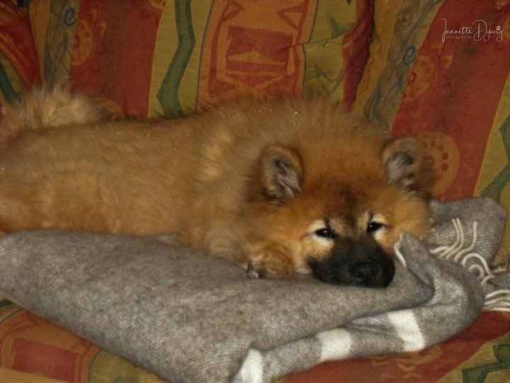 17333_1360810257416_4922465_n