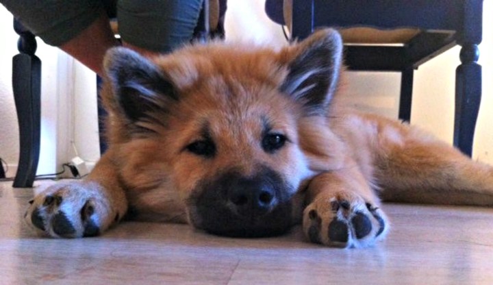 283555_2275099394073_4687467_n