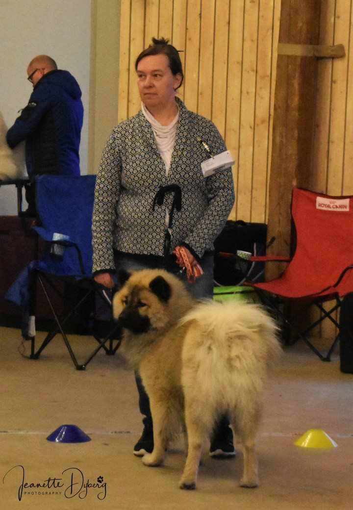 DSC_1902 (2)