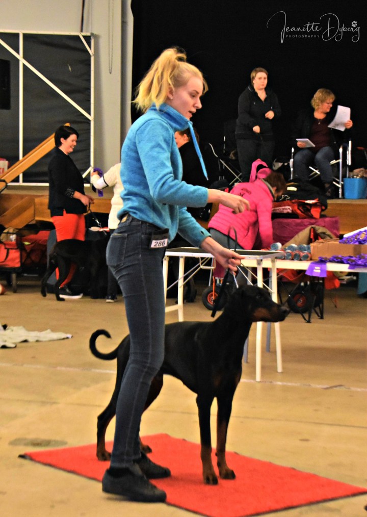 DSC_1914 (2)
