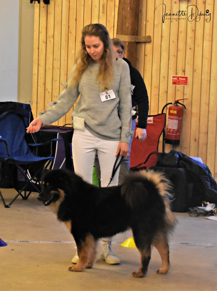 DSC_1972 (2)