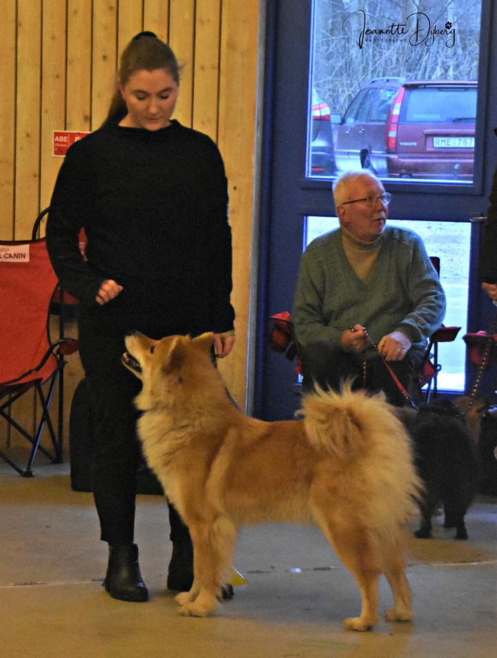 DSC_1975 (2)